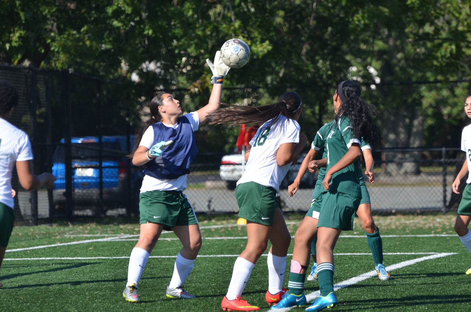 Bayhawks Fall to Springfield Tech